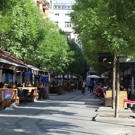 Belgraderenting Belgrade